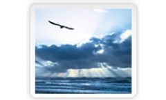 OXYSTRONG - Model 15 - Peracetic Acids