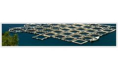 PROXITANE - Model 5:23 - Peracetic Acid