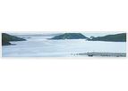 Paramove - Lice Control Product for Atlantic Salmon Farming