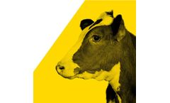 Cyanex - Model Bicar Z - Sodium Bicarbonate