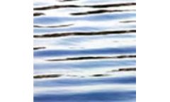 Elimination of mercaptan odor for wastewater lagoons
