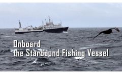 Processing Wild Alaskan Pollock onboard the Starbound Fishing Vessel - Video