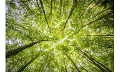 Shredding and  Screening Solutions for Green Waste
