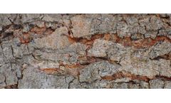 Shredding and Screening Solutions for Bark