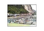 Fisheries & Aquaculture Services