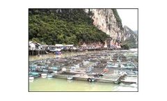 Fisheries & Aquaculture Services