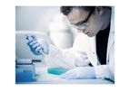 Analytical Services