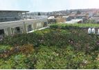 Atlantis - Roof Garden Systems