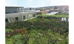 Atlantis - Roof Garden Systems