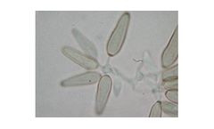 Environmental Microbiology
