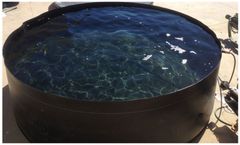 Fabtech - Freestanding Temporary Storage Tanks