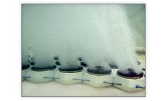 Ecologix Diffusers