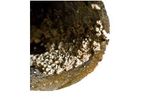 USP-Technologies - Model PRI-DE - Wastewater Digester Sulfide and Struvite Control