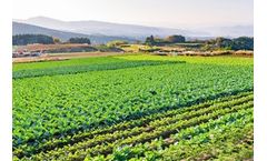 Biosense Laboratories - Pesticide ELISA Kits