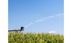 Biosense Laboratories - Model GMO - ELISA Kits