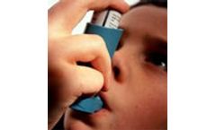 Effects of industrial air pollution on the respiratory health of children