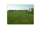 Reed Beed Treatment