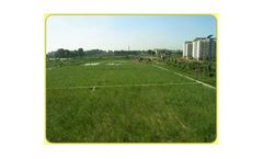 Reed Beed Treatment