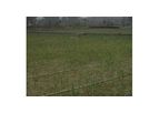 Municipal Sewage Treatment