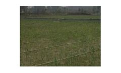 Municipal Sewage Treatment