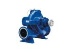 Omega - Model RDLO - Volute Casing Pumps