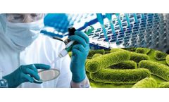 EnviroChemie Group, a leading German industrial water technology and solution provider, acquires Letzner Pharmawasseraufbereitung