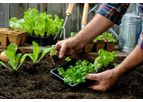 WeCare Denali - Bulk Compost Product
