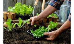 WeCare Denali - Bulk Compost Product
