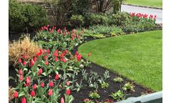 WeCare Denali - Mulch