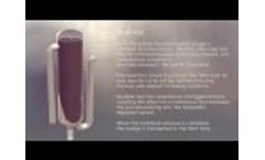 CAMBI THP & Digestion Process Animation Video