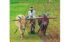 Water treatment solutions for the agriculture & horticulture industries