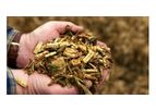 Biomass