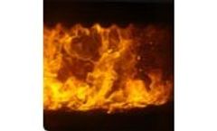 R&D Biomass Energy