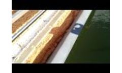 Dissolved Air Flotation DAF Toro Equipment Anaconda FRL 200 - Video