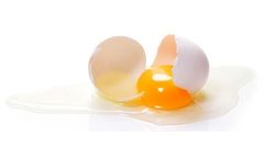 From Shell to Shelf: Top Tips for Processing Egg Products