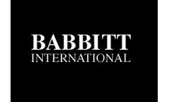 Babbitt - Model LS7000/2 - Dual-Point Level Sensor