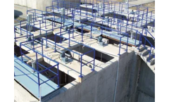 Mass Aritma - Paddle Type Mixer