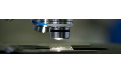 Celus-Bi - Renewable Raw Material-Derived Ingredients for Cosmetics