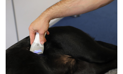 IMV - Model GE VScan - Air Veterinary Ultrasound Scanner