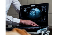 IMV - Model GE Versana - Active Veterinary Ultrasound Scanner