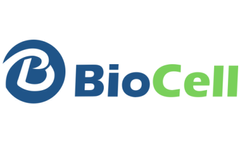 IFAS for Enhanced Biological Nutrient Removal   Case Study