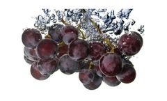 Electrochlorination - water disinfection solutions  for the food and beverage industry