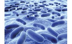 Electrolysis technology for water disinfection to eliminate specific pathogens