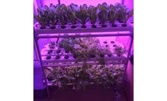 Small Indoor Farming