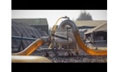 Fish Pumps Video