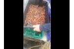 Shrimp Grader Tray Video
