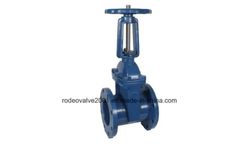 Rodeo - Model RODEO00011GV - ANSI Cast Iron 125lb Flange Gate Valve