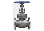 Rodeo - Model RODEO0019GLV - Stainless Steel Flange Industrial Globe Valve