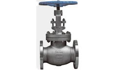 Rodeo - Model RODEO0019GLV - Stainless Steel Flange Industrial Globe Valve