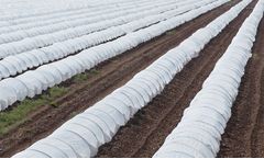 Agriculture